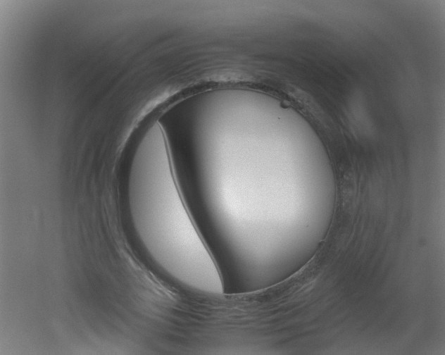 X0000051870727200506241027