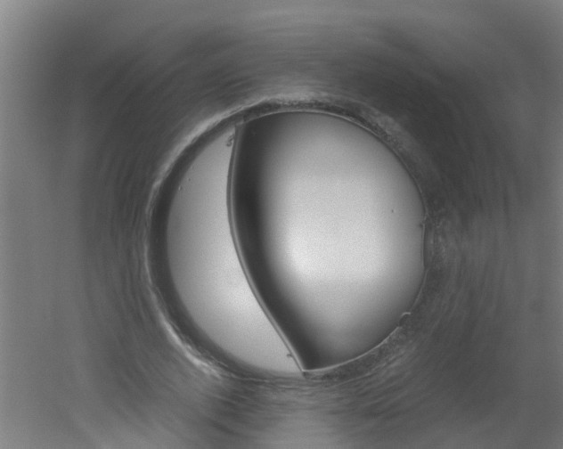 X0000051870728200506241027