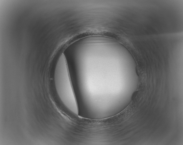 X0000051870736200506241027