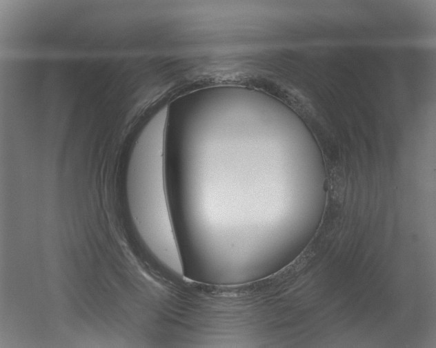 X0000051870740200506241028