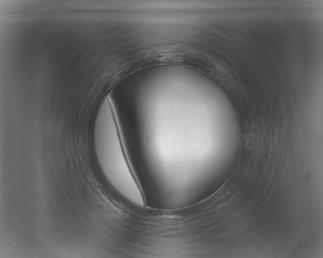 X0000051870748200506241028