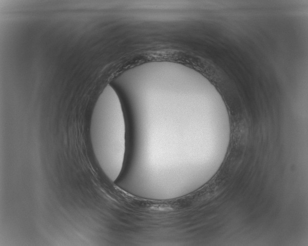 X0000051870749200506241028