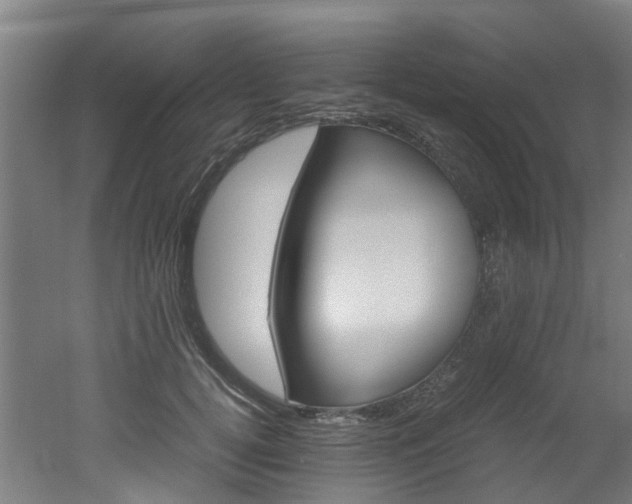 X0000051870752200506241028