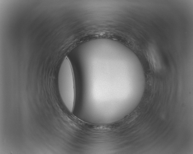 X0000051870754200506241028