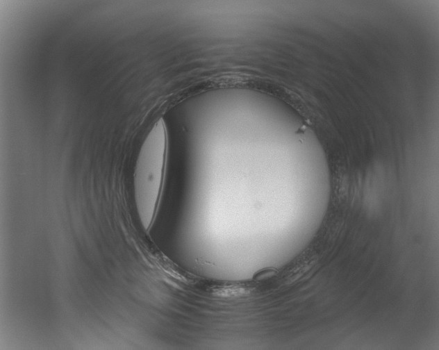 X0000051870759200506241028