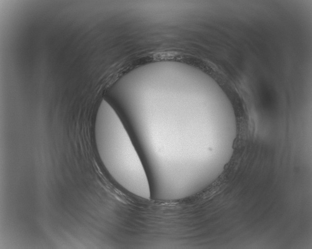 X0000051870761200506241028