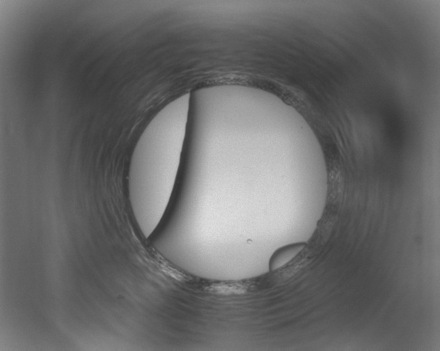 X0000051870765200506241028