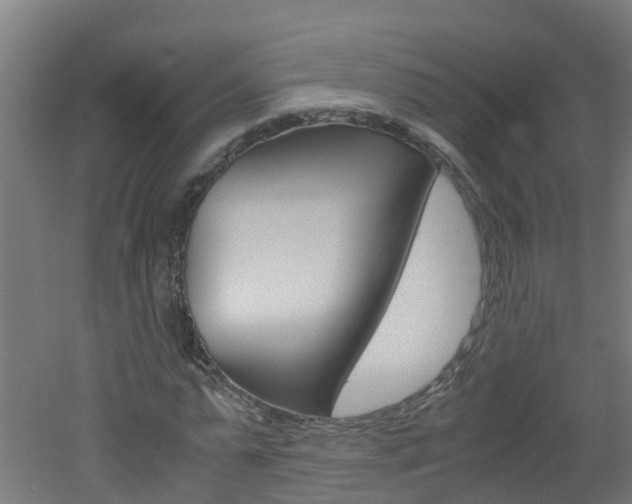X0000051870775200506241027
