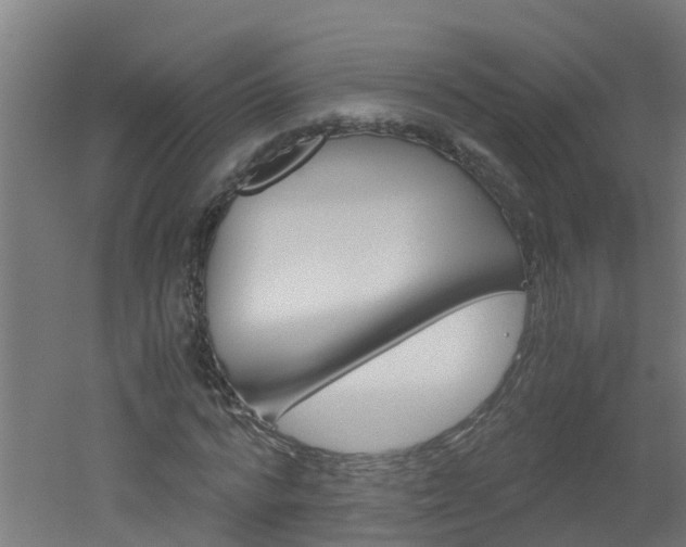 X0000051870776200506241027