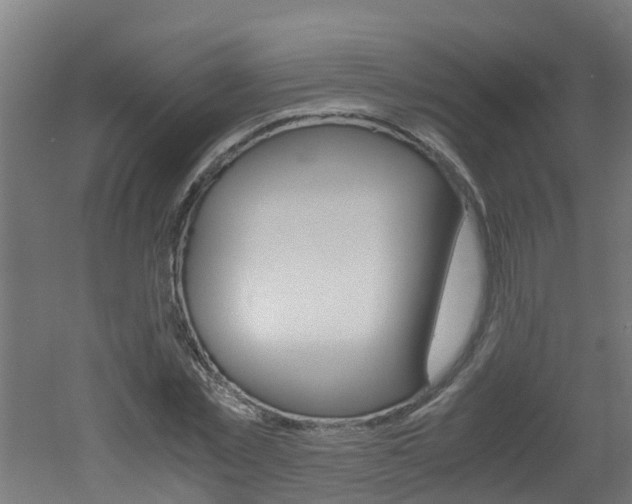 X0000051870781200506241027