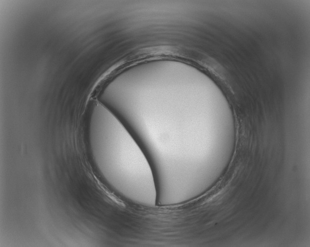 X0000051870782200506241027