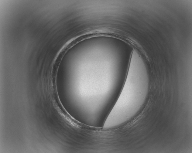 X0000051870784200506241027