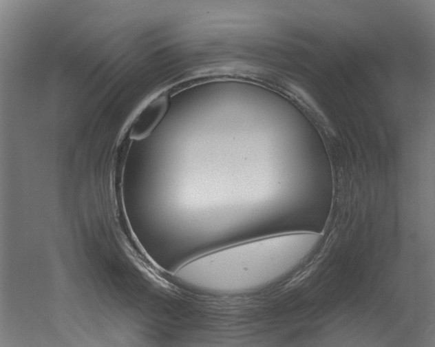 X0000051870788200506241027