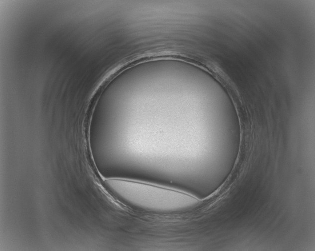 X0000051870789200506241027
