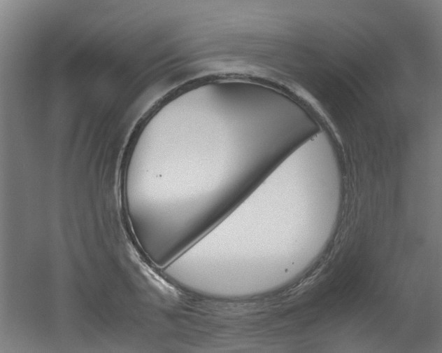 X0000051870791200506241027