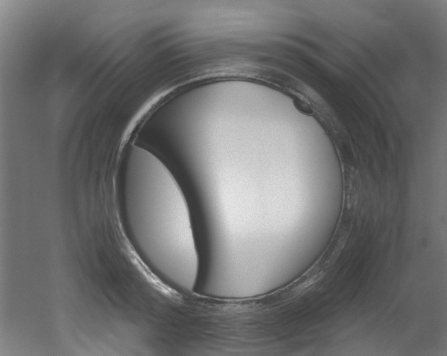 X0000051870796200506241027