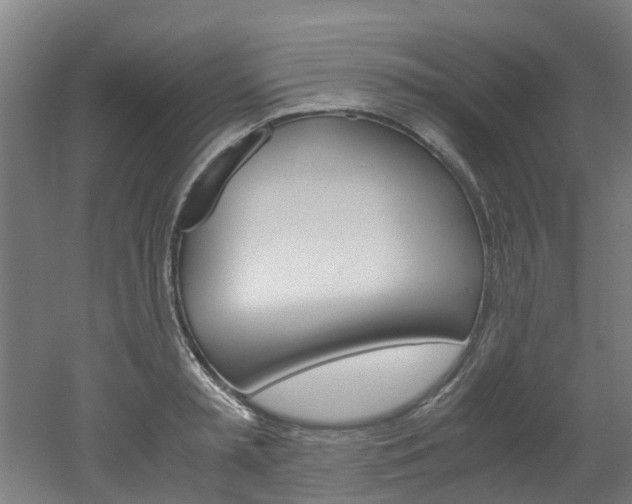X0000051870797200506241027