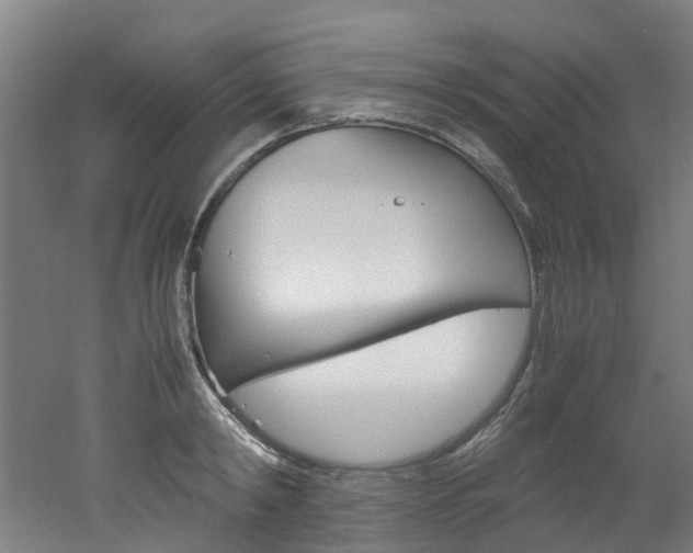 X0000051870798200506241027