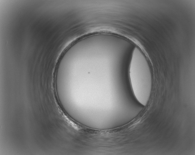 X0000051870799200506241027