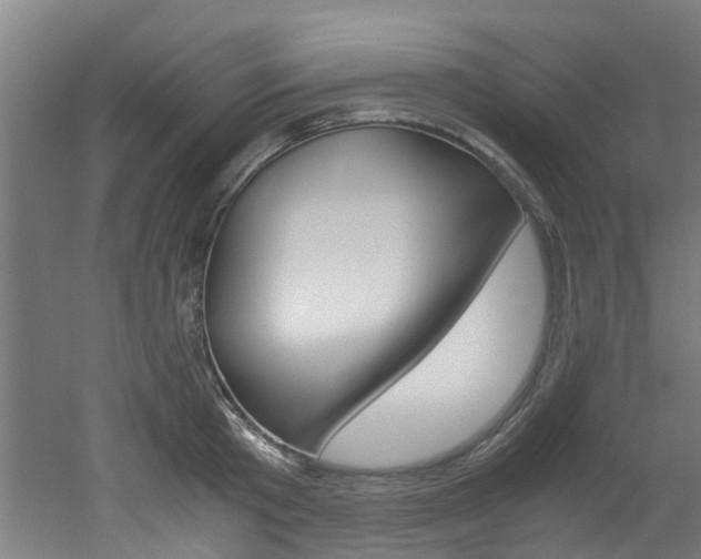 X0000051870801200506241027