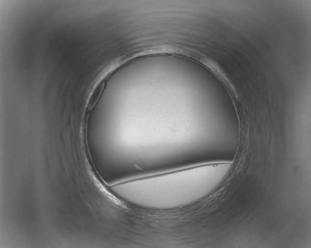 X0000051870805200506241027