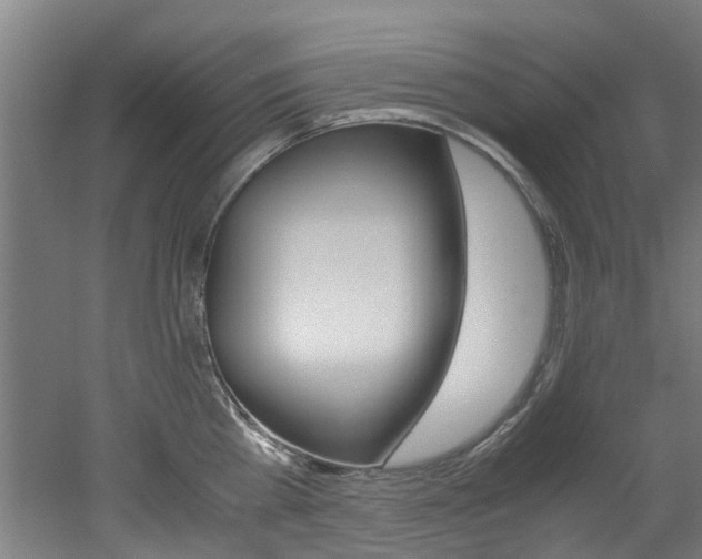 X0000051870809200506241027