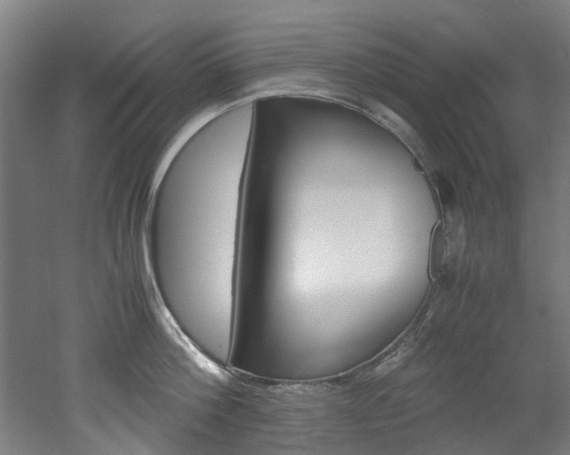 X0000051870812200506241026