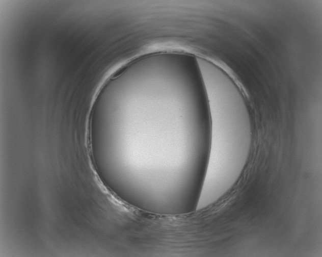 X0000051870815200506241026