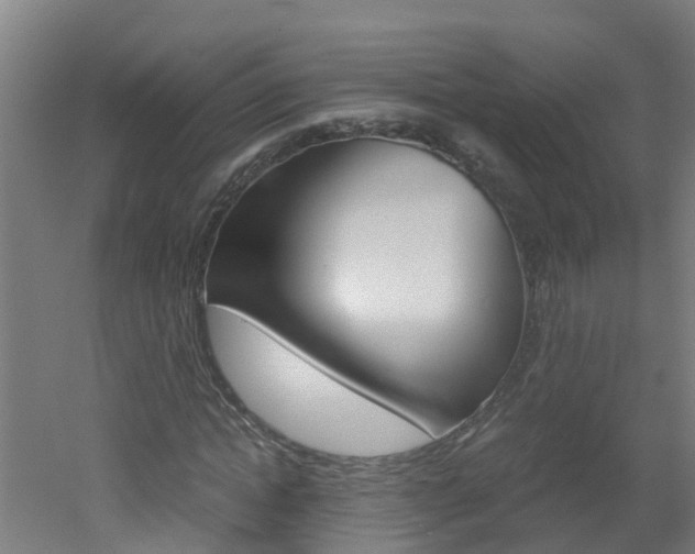 X0000051870822200506241026