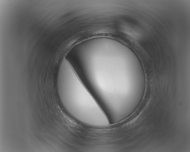 X0000051870825200506241026