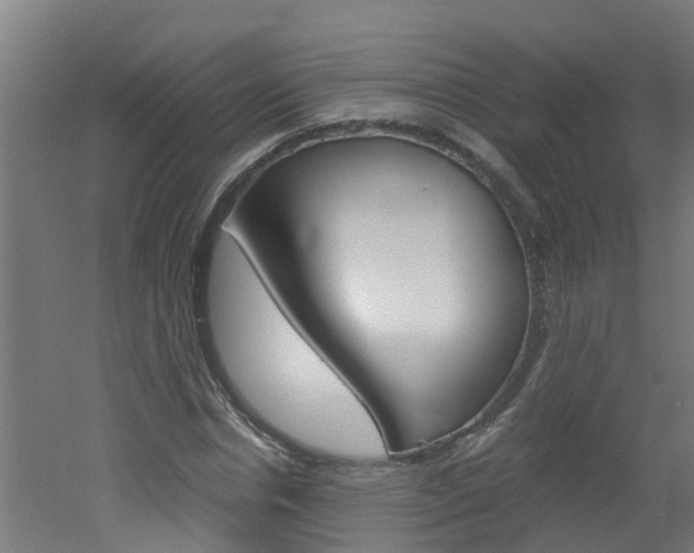 X0000051870826200506241026
