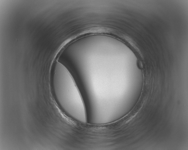 X0000051870837200506241026