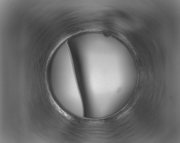X0000051870843200506241026