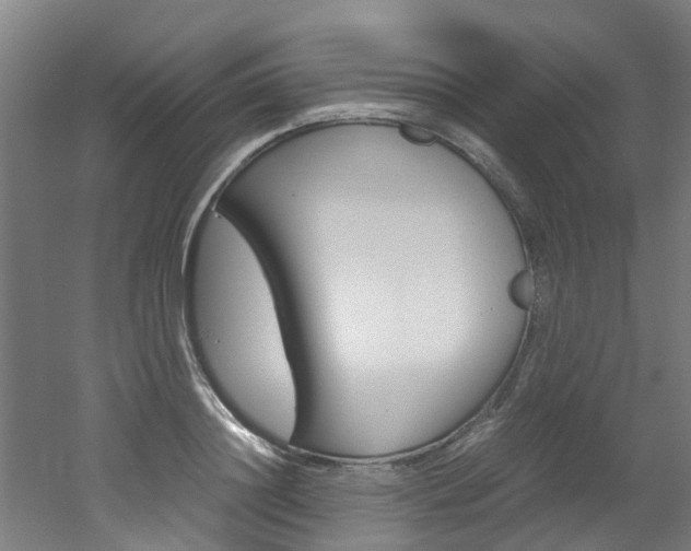 X0000051870844200506241026