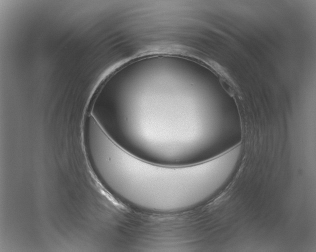 X0000051870846200506241026