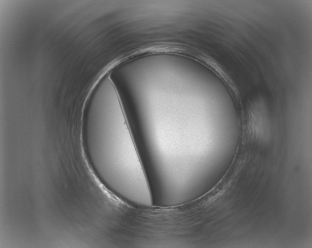 X0000051870853200506241026