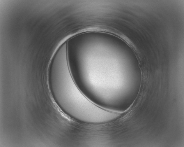 X0000051870854200506241026