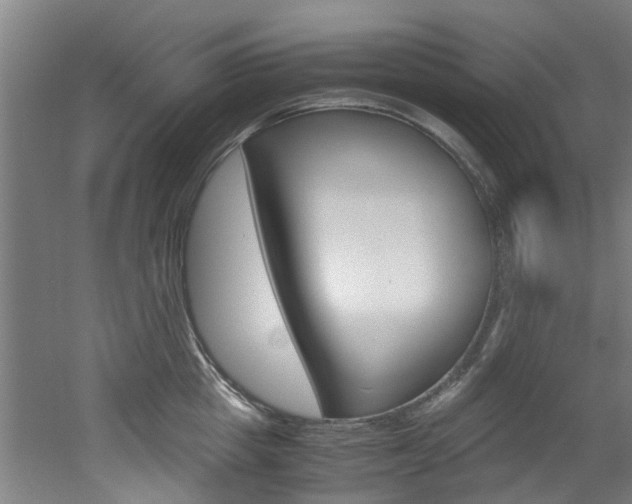 X0000051870857200506241026