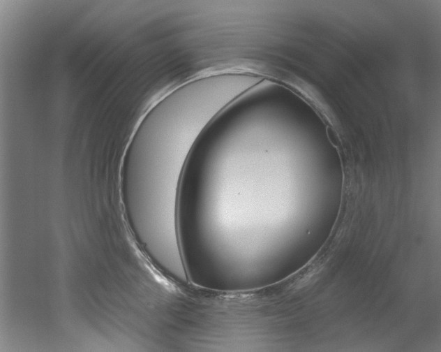 X0000051870858200506241026