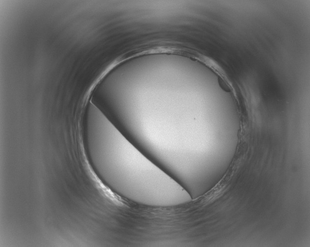 X0000051870859200506241026
