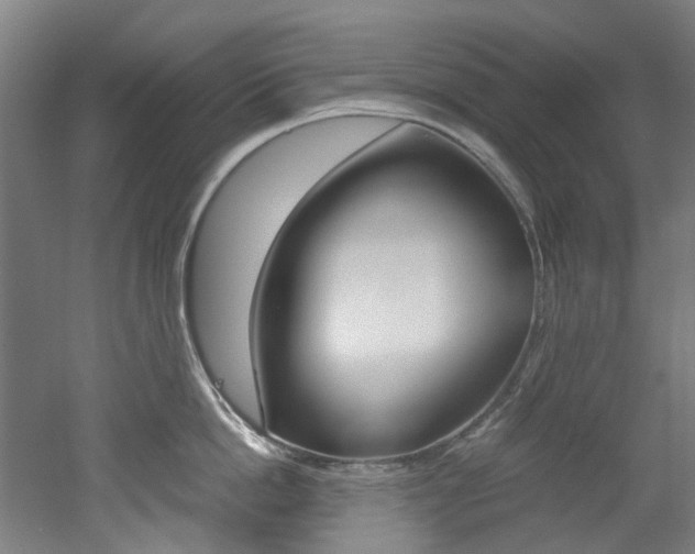 X0000051870862200506241026