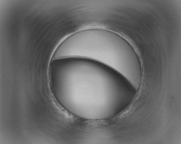 X0000051870864200506241026
