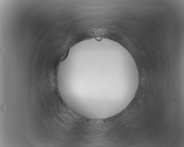 X0000051870866200506241026
