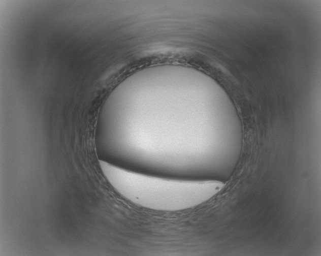 X0000051870869200506241026