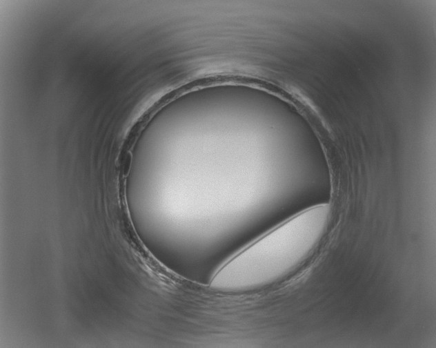 X0000051870877200506241025