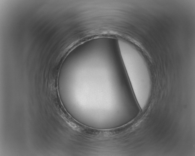 X0000051870881200506241025