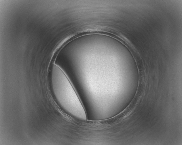 X0000051870885200506241025