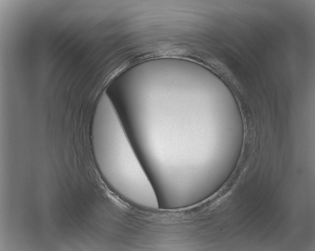 X0000051870889200506241025