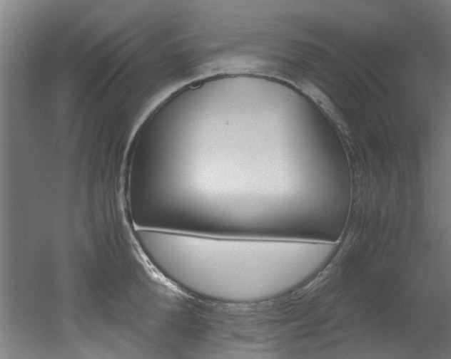 X0000051870904200506241025