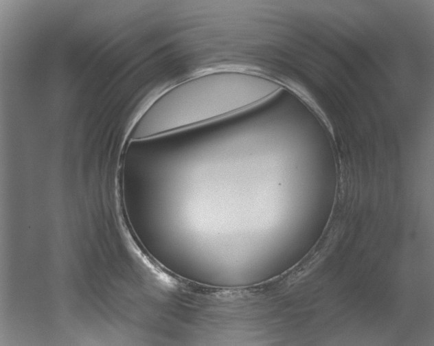 X0000051870906200506241025